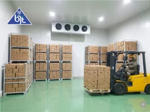 Cold Storage Chiller untuk Penyimpanan Buah Ekspor Indonesia